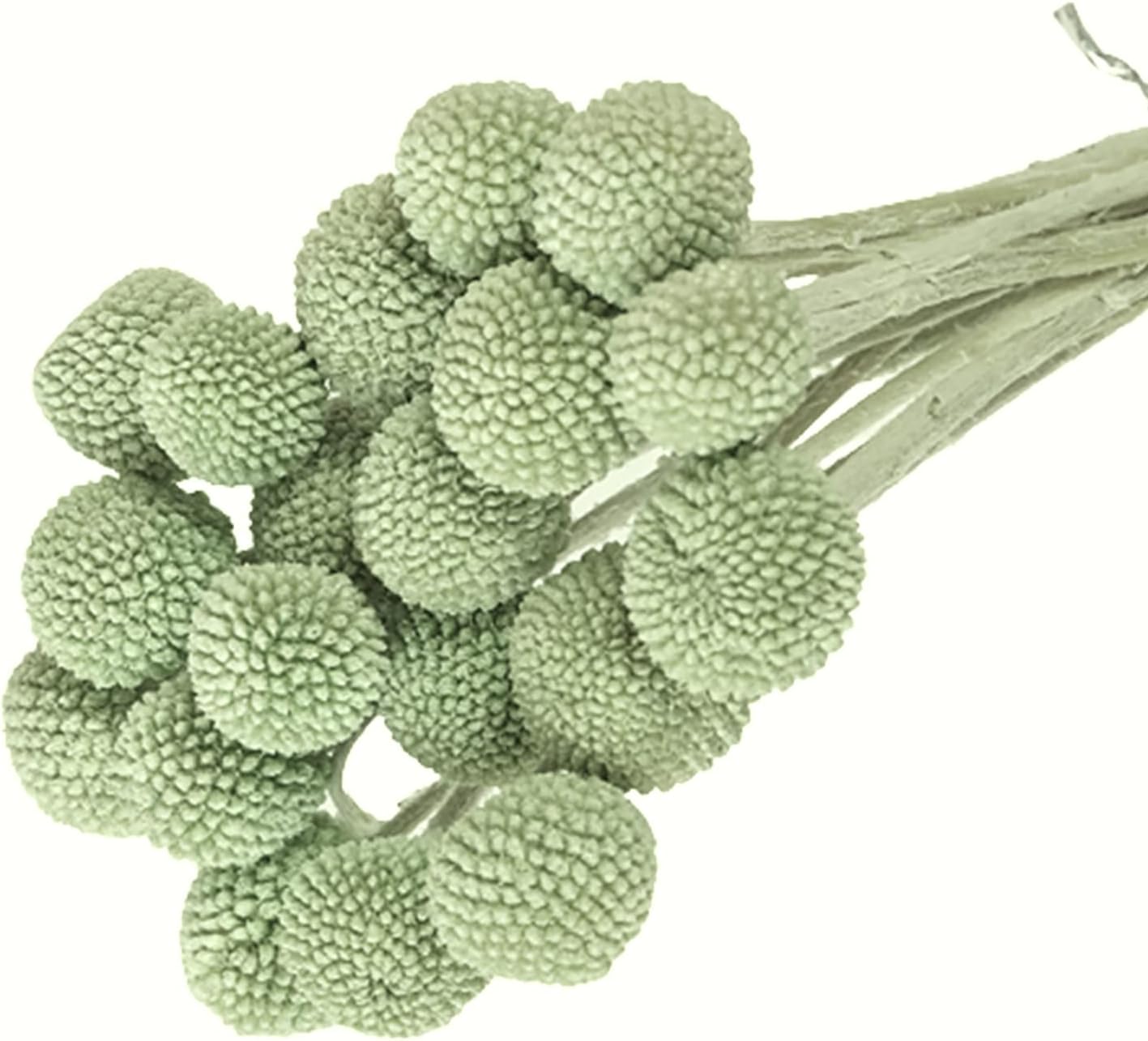 dried_flower - preserved_flower - fake_flower - 20Pcs Natural Dried Flowers Billy Balls 16" Bouquet Floral Arrangements Bouquet - Molly Garden - Molly_Garden_Floral