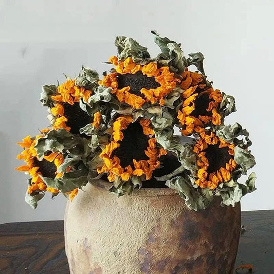 dried_flower - preserved_flower - fake_flower - 6Stems Dried Flowers in Bulk Sunflower Bouquet Real Flowers Yellow Decor - Molly Garden - Molly_Garden_Floral