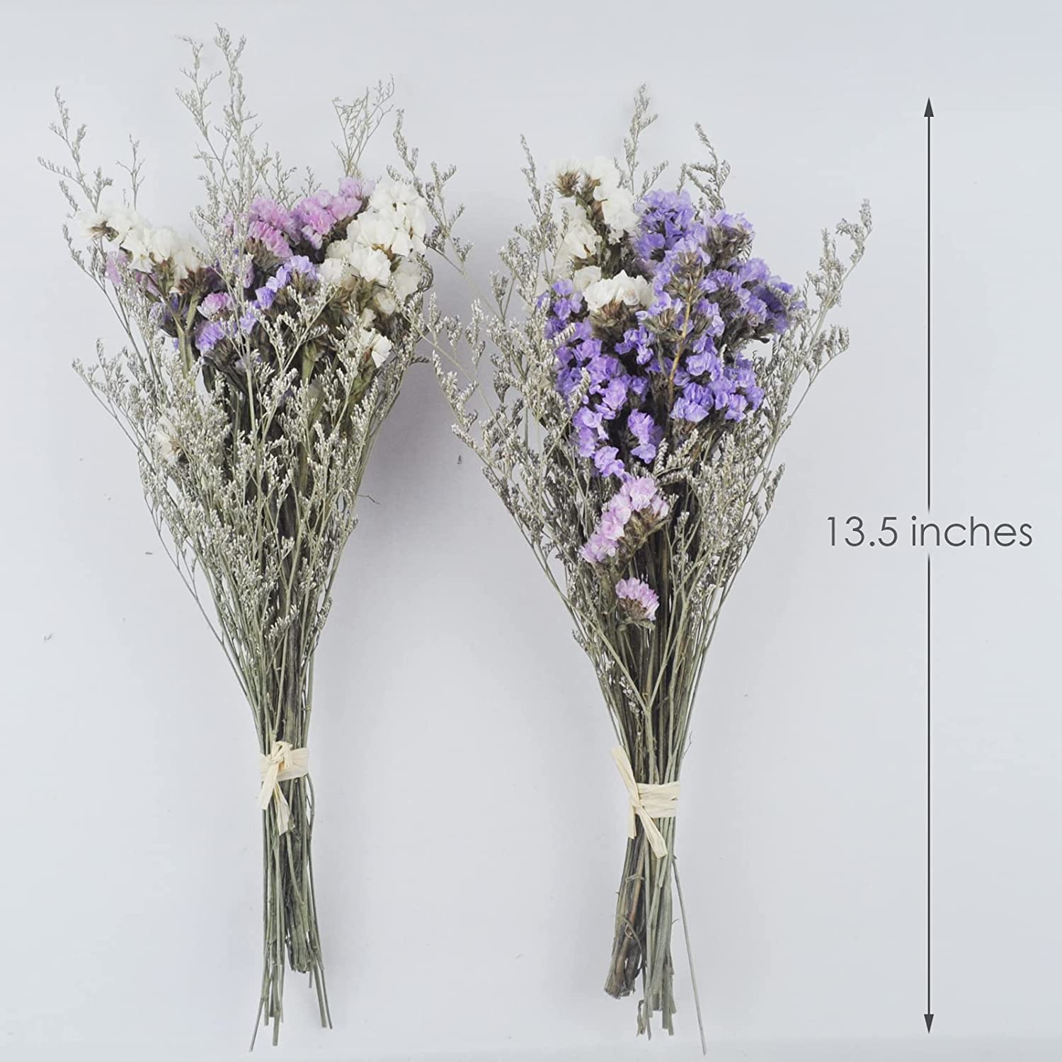 dried_flower - preserved_flower - fake_flower - 2Packs of Caspia Statice/Sea Lavender Dried Flower Bouquets 100% Natural - Molly Garden - Molly_Garden_Floral