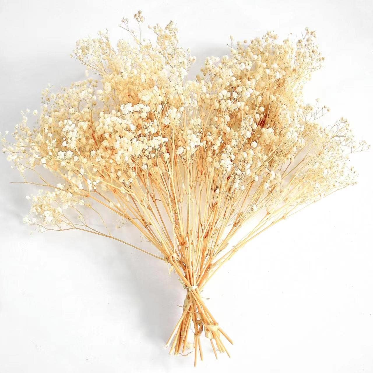 dried_flower - preserved_flower - fake_flower - 3000+Head Ivory White Babys Breath Flower Bouquet with Dry Floral - Molly Garden - Molly_Garden_Floral