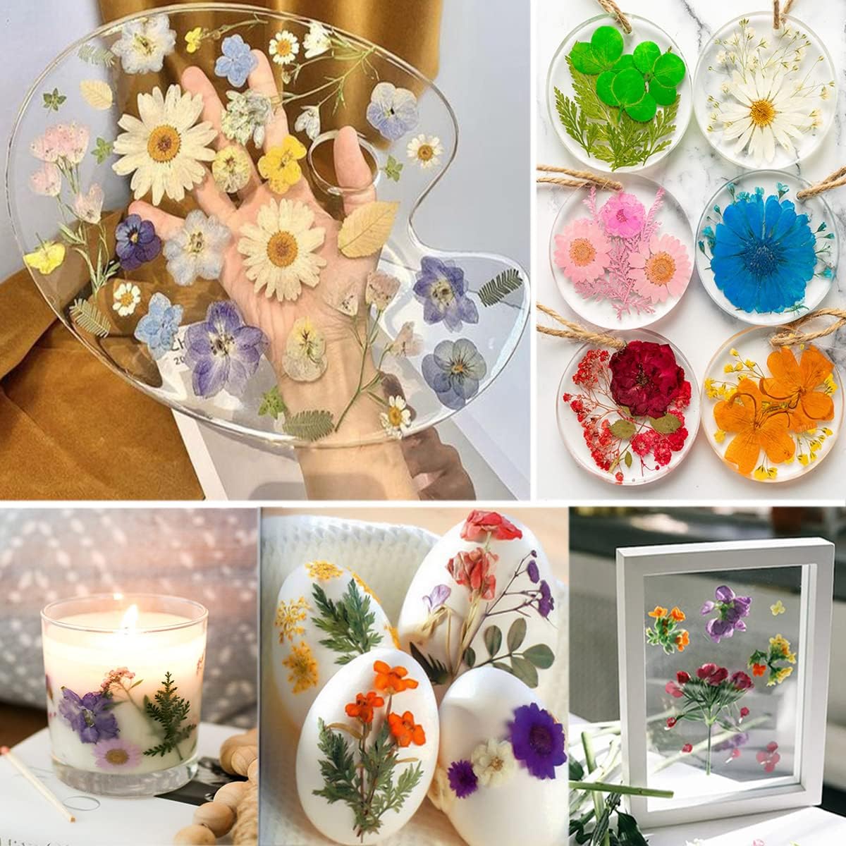 dried_flower - preserved_flower - fake_flower - 37Pcs 18Types Dried Pressed Flowers for Resin Molds YouthBro Real Natural - Molly Garden - Molly_Garden_Floral