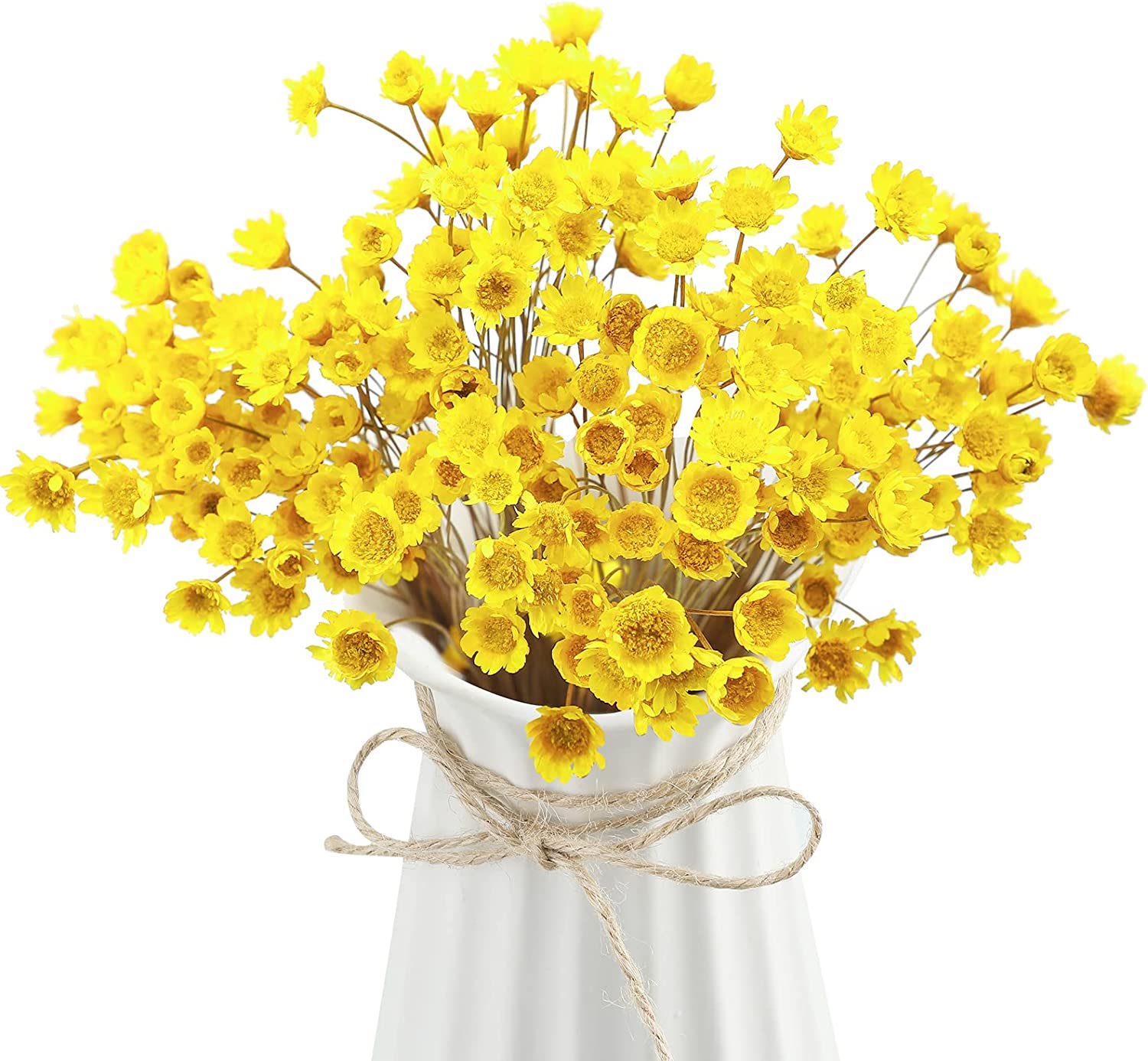 dried_flower - preserved_flower - fake_flower - 200Pcs Natural Dry Flowers Brazilian Small Star Daisy Dried Mini Chamomile Bouquet - Molly Garden - Molly_Garden_Floral