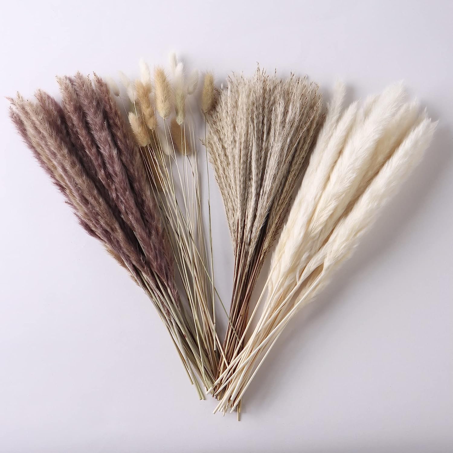 dried_flower - preserved_flower - fake_flower - 85Pcs Dried Flowers Arrangements White & Natural Pampas Grass, Reed, Bunny Tails - Molly Garden - Molly_Garden_Floral