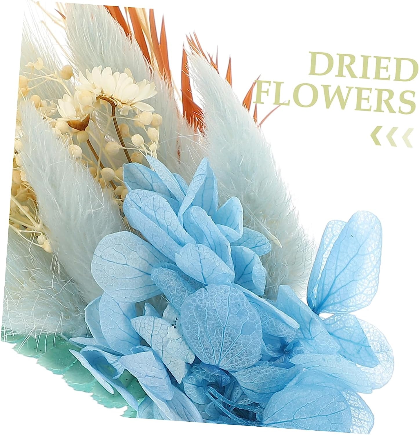 dried_flower - preserved_flower - fake_flower - 6Bunches Preserved Flower Wedding Props Groom Boutonniere Mini Plants - Molly Garden - Molly_Garden_Floral