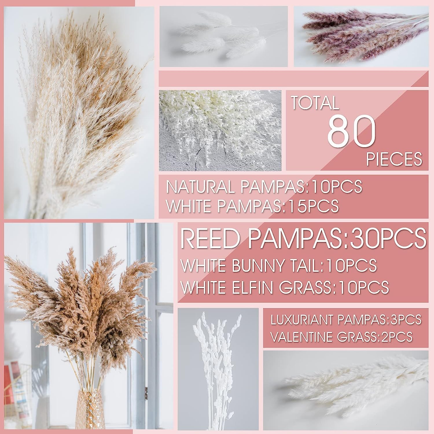 dried_flower - preserved_flower - fake_flower - 80Pcs Natural Dried Pampas Grass Bouquet Boho Home Decor Dry Phragmites - Molly Garden - Molly_Garden_Floral