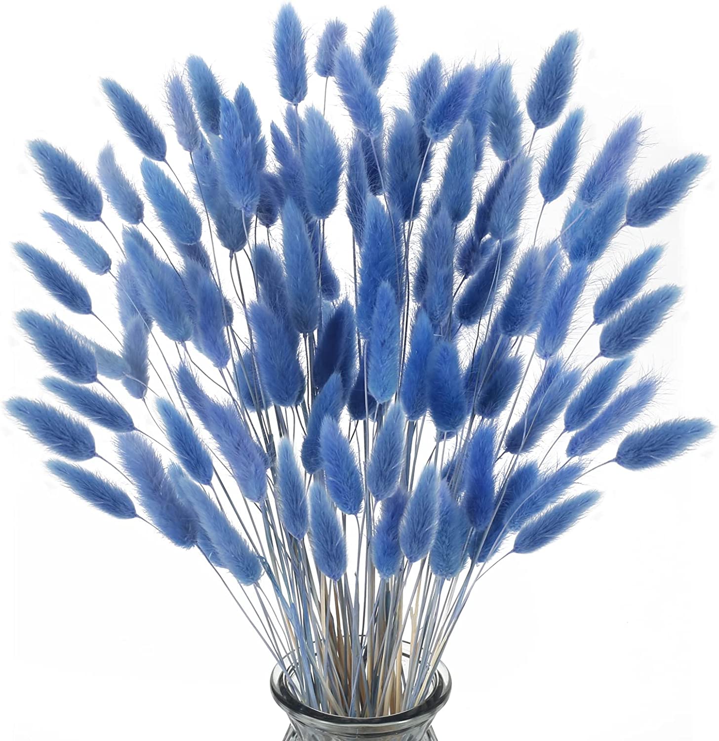 dried_flower - preserved_flower - fake_flower - 120Pcs Dried Bunny Tails Flowers Rabbit Tail Grass Lagurus Ovatus Bouquet - Molly Garden - Molly_Garden_Floral