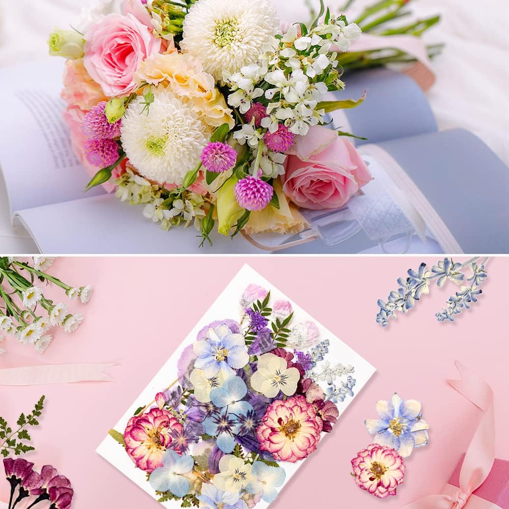 dried_flower - preserved_flower - fake_flower - 35+Pcs Flowers for Resin Model Real Pressed Dry Leaves Bulk Natural Herbs Kit - Molly Garden - Molly_Garden_Floral