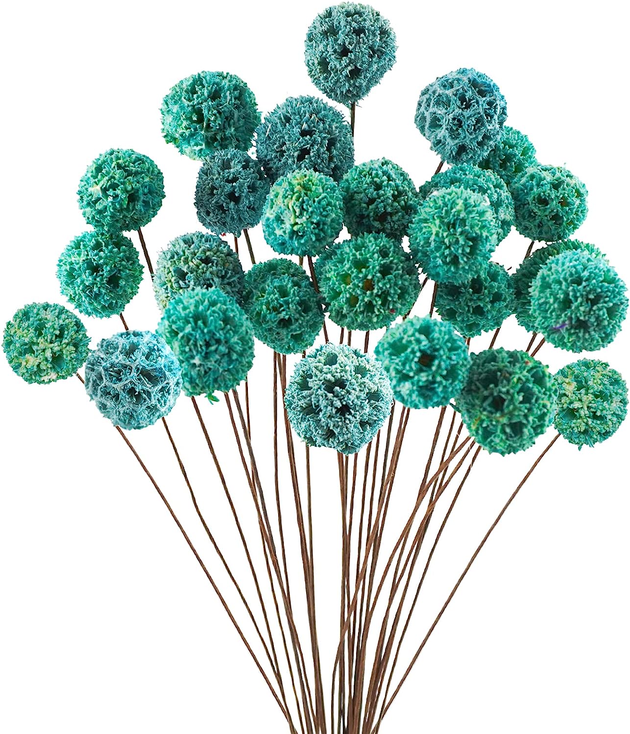 dried_flower - preserved_flower - fake_flower - 24Pcs Dried Craspedia Billy Balls Flowers 18” Natural Floral Arrangements - Molly Garden - Molly_Garden_Floral