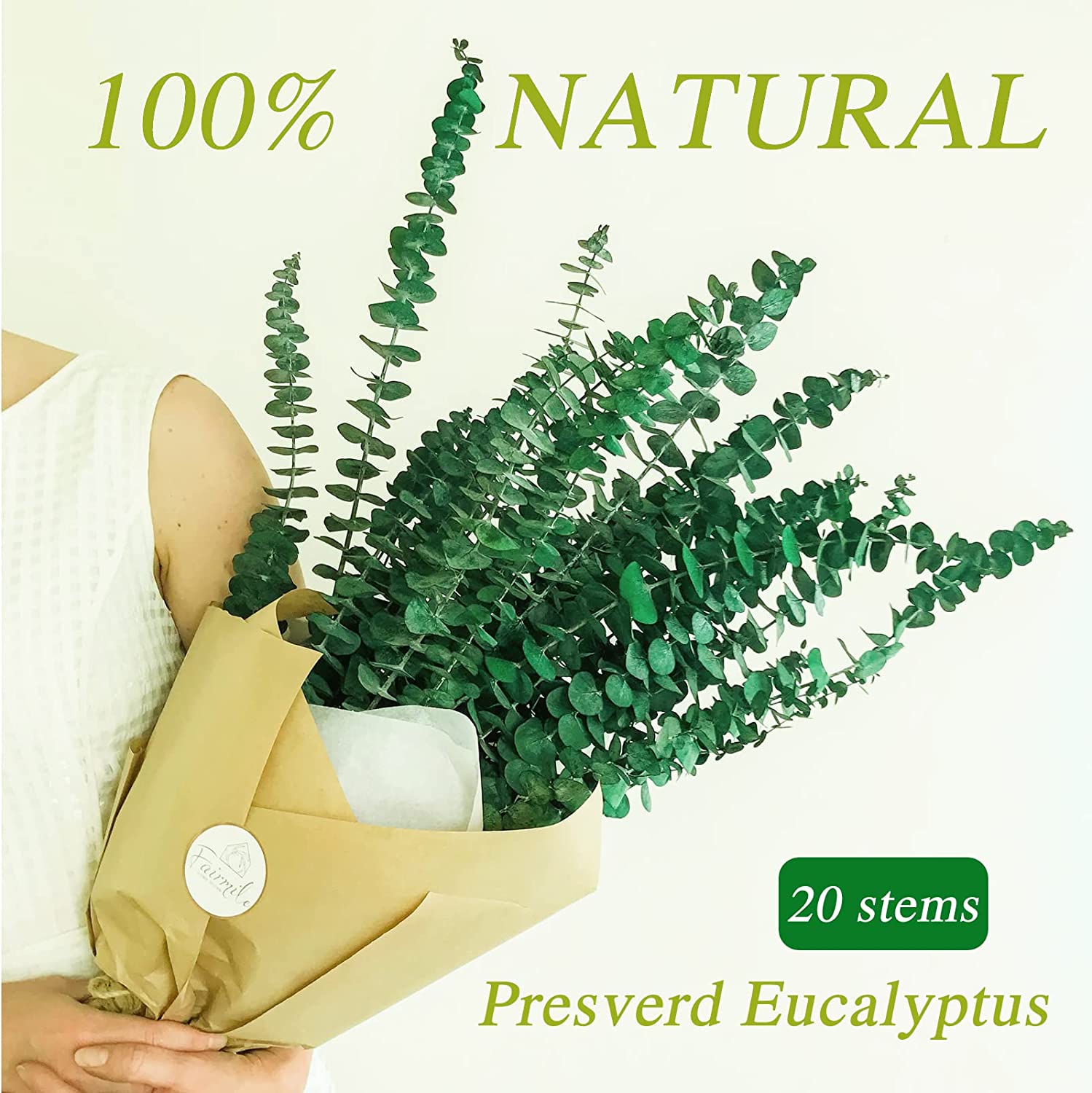 dried_flower - preserved_flower - fake_flower - 20Pcs Preserved Dried Eucalyptus Stems 17" Natural Fresh Branches for Shower - Molly Garden - Molly_Garden_Floral