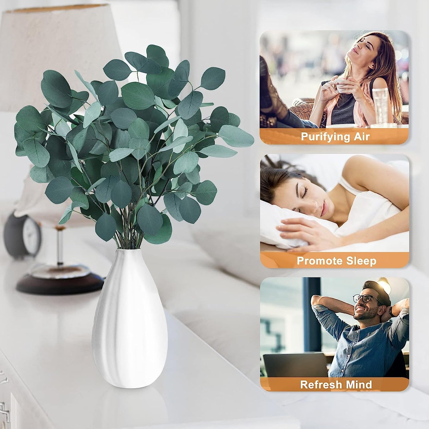 dried_flower - preserved_flower - fake_flower - 7-10Pcs 100% Natural Silver Dollar Leaves Dried Preserved Eucalyptus Stems - Molly Garden - Molly_Garden_Floral