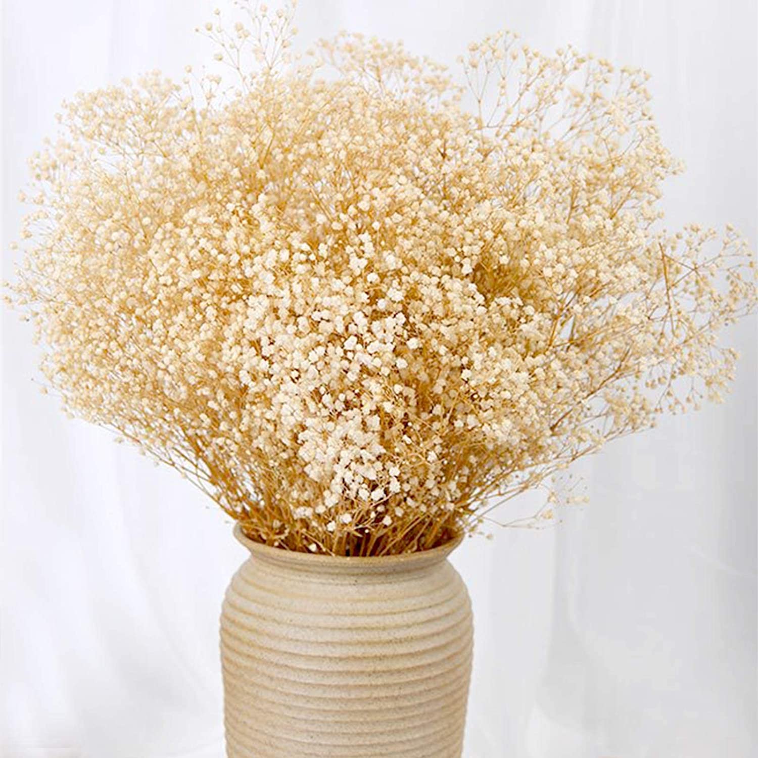 dried_flower - preserved_flower - fake_flower - 2500+Head Dried Babys Breath Flowers Bouquet 17'' Natural Gypsophila Branches - Molly Garden - Molly_Garden_Floral
