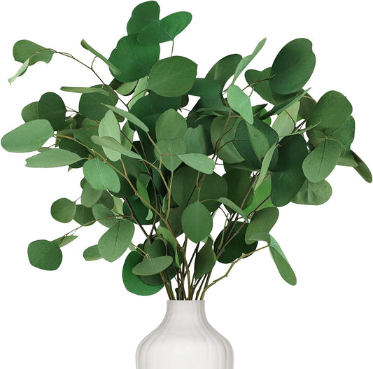 dried_flower - preserved_flower - fake_flower - 7-10Pcs Preserved Dried Eucalyptus Stems 100% Natural Real Silver Dollar Leaves - Molly Garden - Molly_Garden_Floral