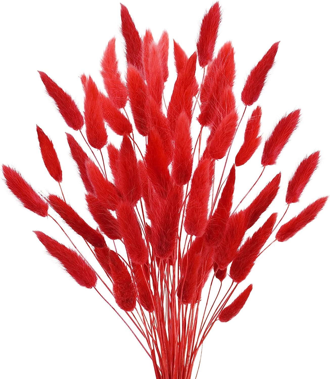 dried_flower - preserved_flower - fake_flower - 50Pcs Dried Lagurus Ovatus 17’’ Natural Bunny Tails Flowers Dried Pampas Grass - Molly Garden - Molly_Garden_Floral