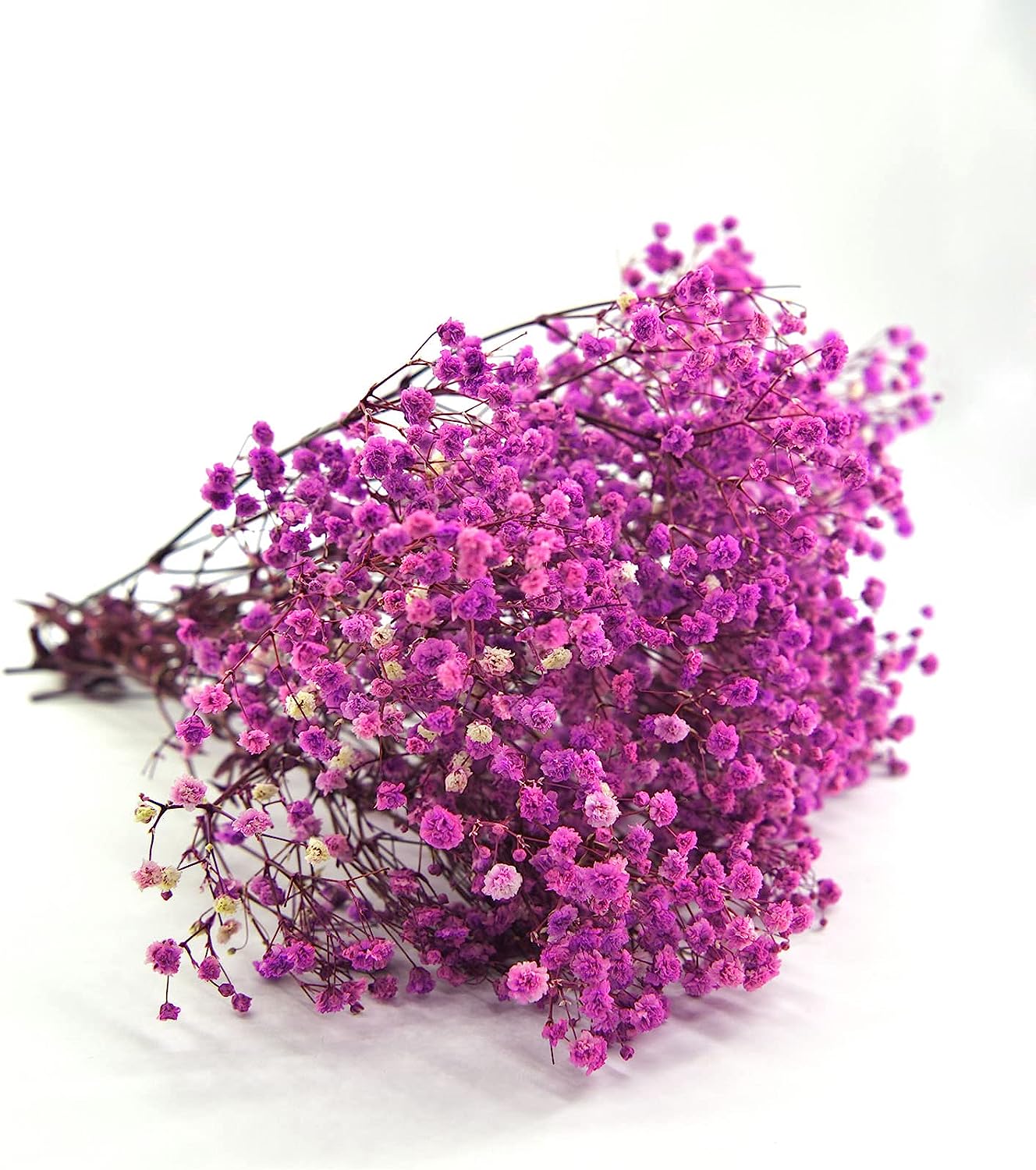dried_flower - preserved_flower - fake_flower - 3Bunches Preserved Babys Breath 100% Natrual Fresh Gypsophila Long Lasting Flowers - Molly Garden - Molly_Garden_Floral