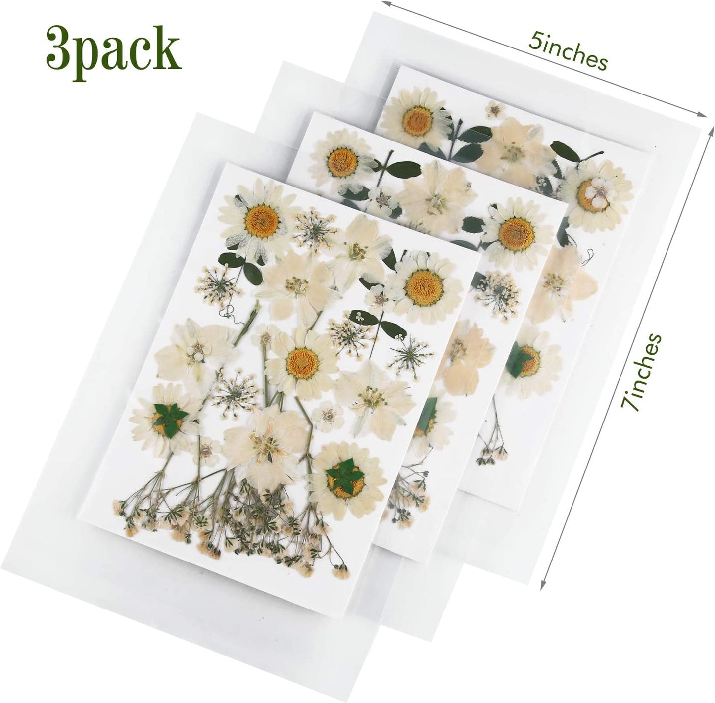 dried_flower - preserved_flower - fake_flower - 81Pcs White Dried Pressed Flowers Leaves Natural Larkspur Gypsophila for Resin - Molly Garden - Molly_Garden_Floral