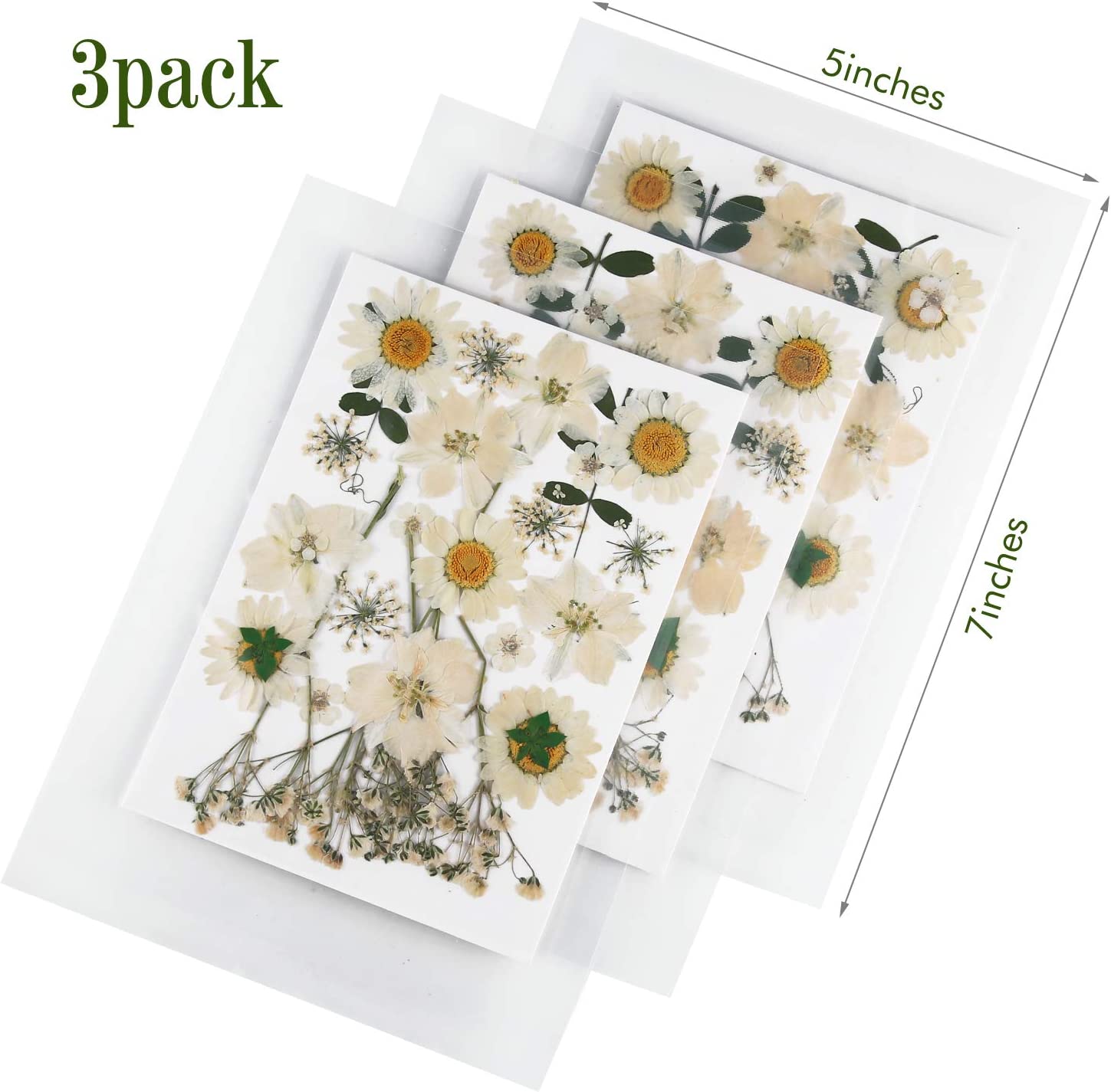 dried_flower - preserved_flower - fake_flower - 81Pcs White Dried Pressed Flowers Leaves Natural Larkspur Gypsophila for Resin - Molly Garden - Molly_Garden_Floral