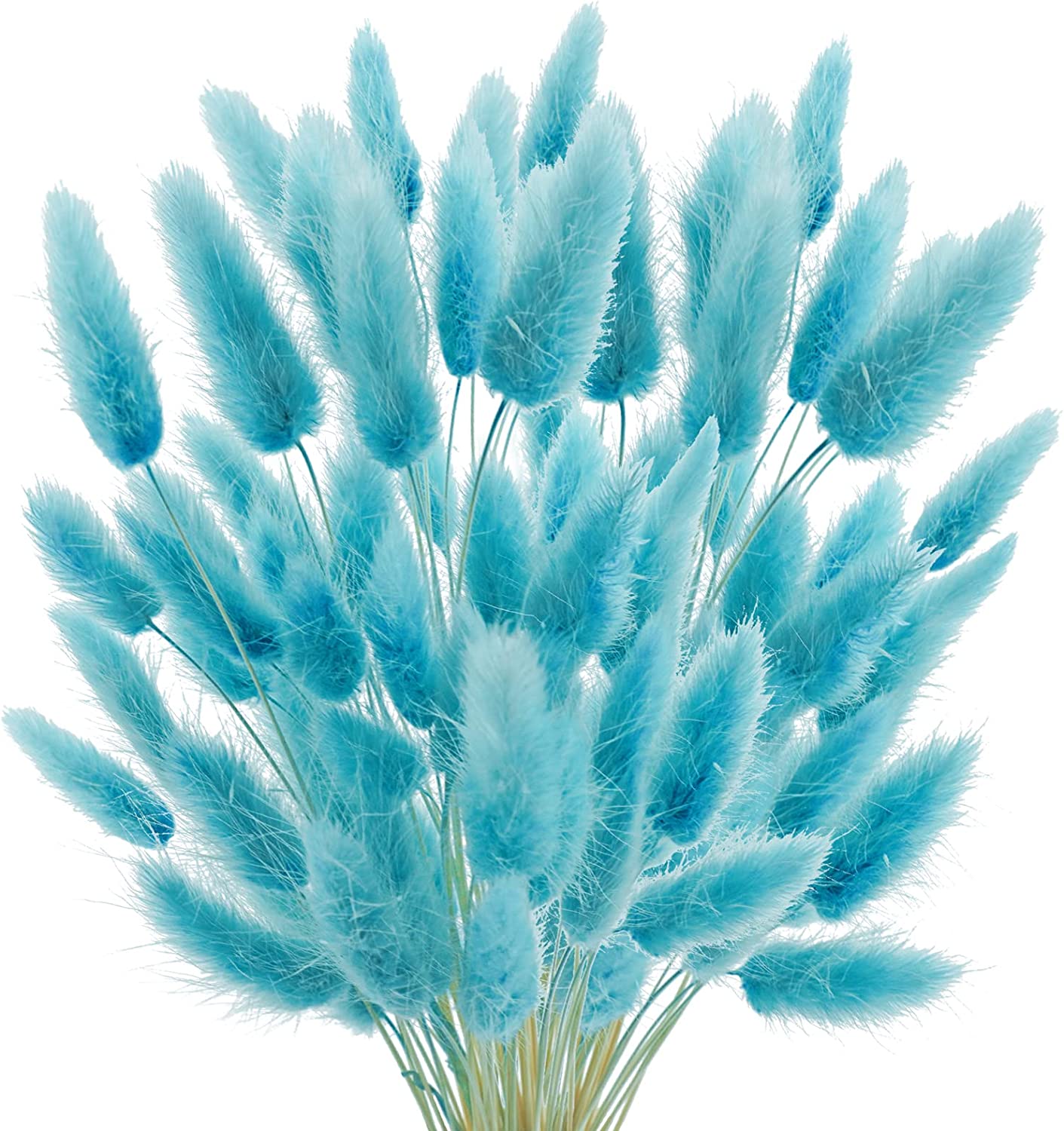 dried_flower - preserved_flower - fake_flower - 50Pcs Dried Lagurus Ovatus 17’’ Natural Bunny Tails Flowers Dried Pampas Grass - Molly Garden - Molly_Garden_Floral