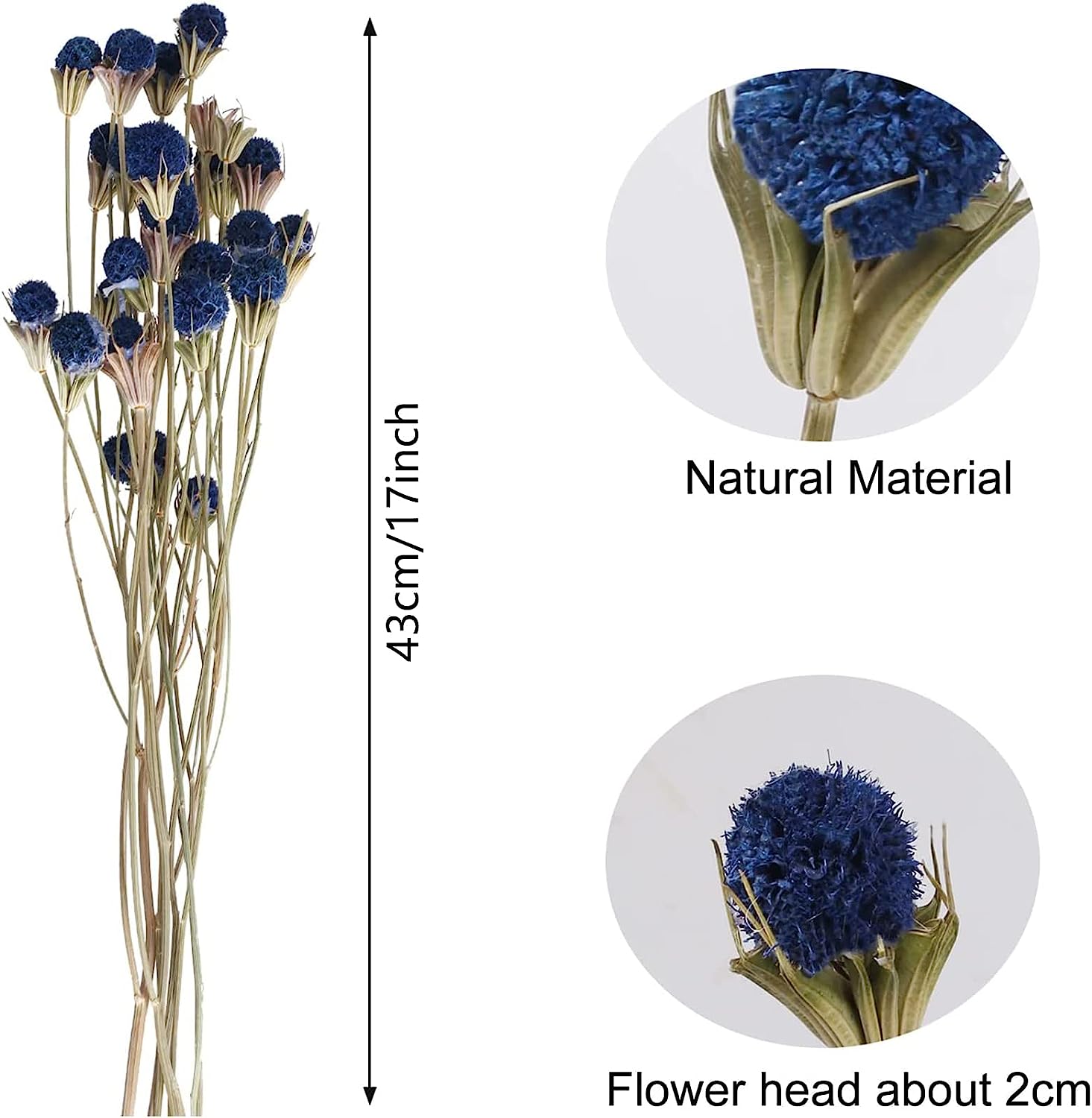 dried_flower - preserved_flower - fake_flower - 40Pcs Natural Dried Flowers Bouquet Bulk  Craspedia Billy Button Balls - Molly Garden - Molly_Garden_Floral