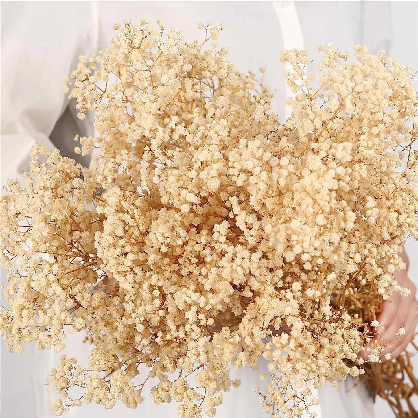 dried_flower - preserved_flower - fake_flower - 2500+Head Dried Babys Breath Flowers Bouquet 17'' Natural Gypsophila Branches - Molly Garden - Molly_Garden_Floral