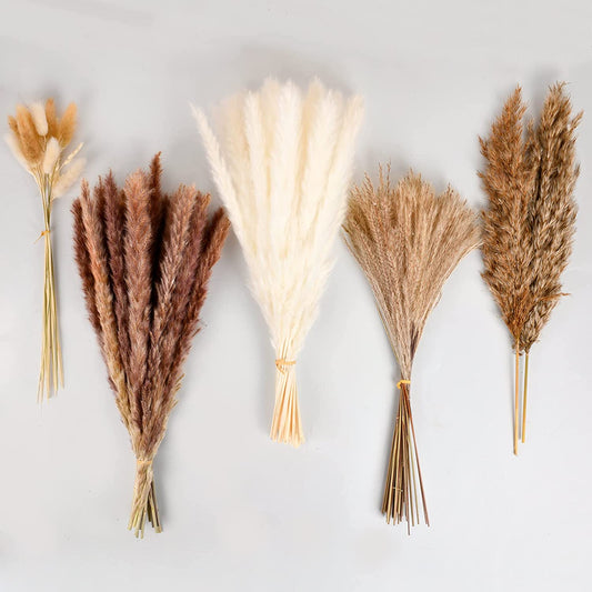 dried_flower - preserved_flower - fake_flower - 92Pcs Natural Mixed Dried Pampas Flowers Grass Bouquet for Boho Home Decor - Molly Garden - Molly_Garden_Floral