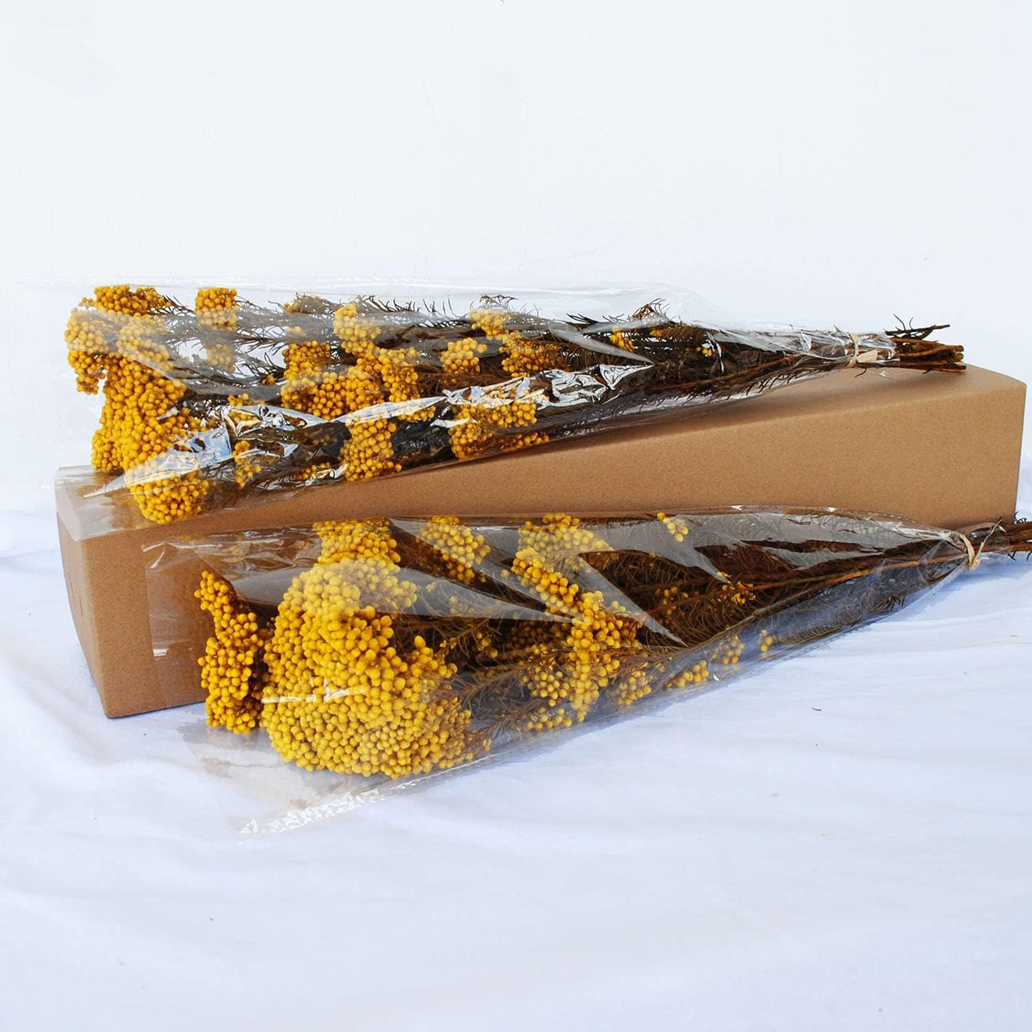 dried_flower - preserved_flower - fake_flower - Golden Manor Natural Millet Flowers Dried Bouquet for Home Wedding Decoration - Molly Garden - Molly_Garden_Floral
