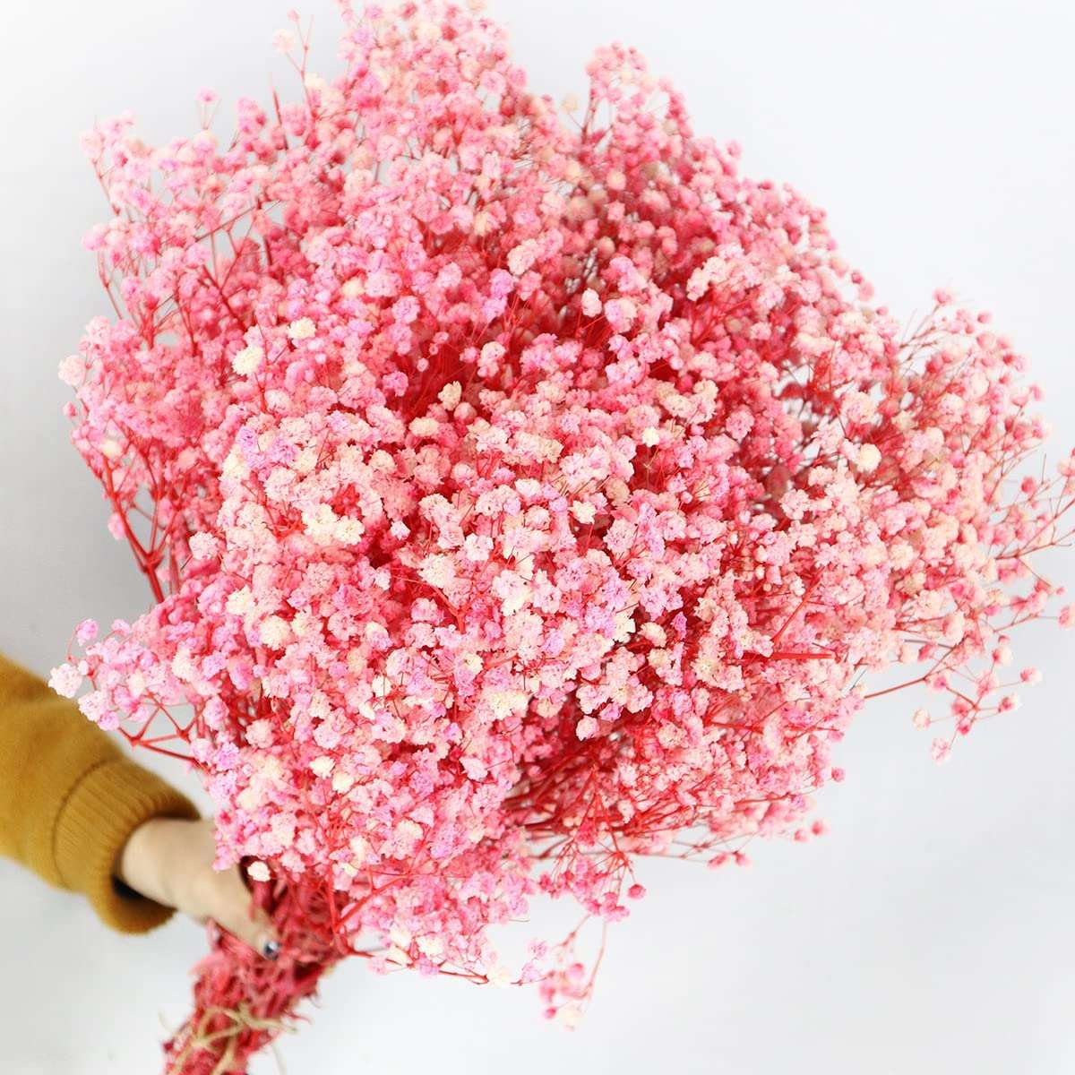dried_flower - preserved_flower - fake_flower - 2500+Head Dried Babys Breath Flowers Bouquet 17.2inch Natural Gypsophila - Molly Garden - Molly_Garden_Floral