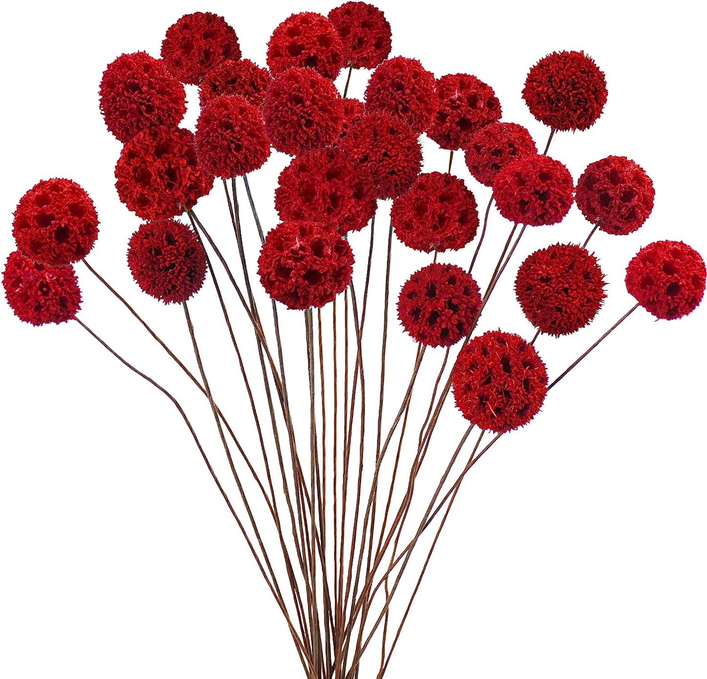 dried_flower - preserved_flower - fake_flower - 24Pcs Dried Craspedia Billy Balls Flowers 18” Natural Floral Arrangements - Molly Garden - Molly_Garden_Floral