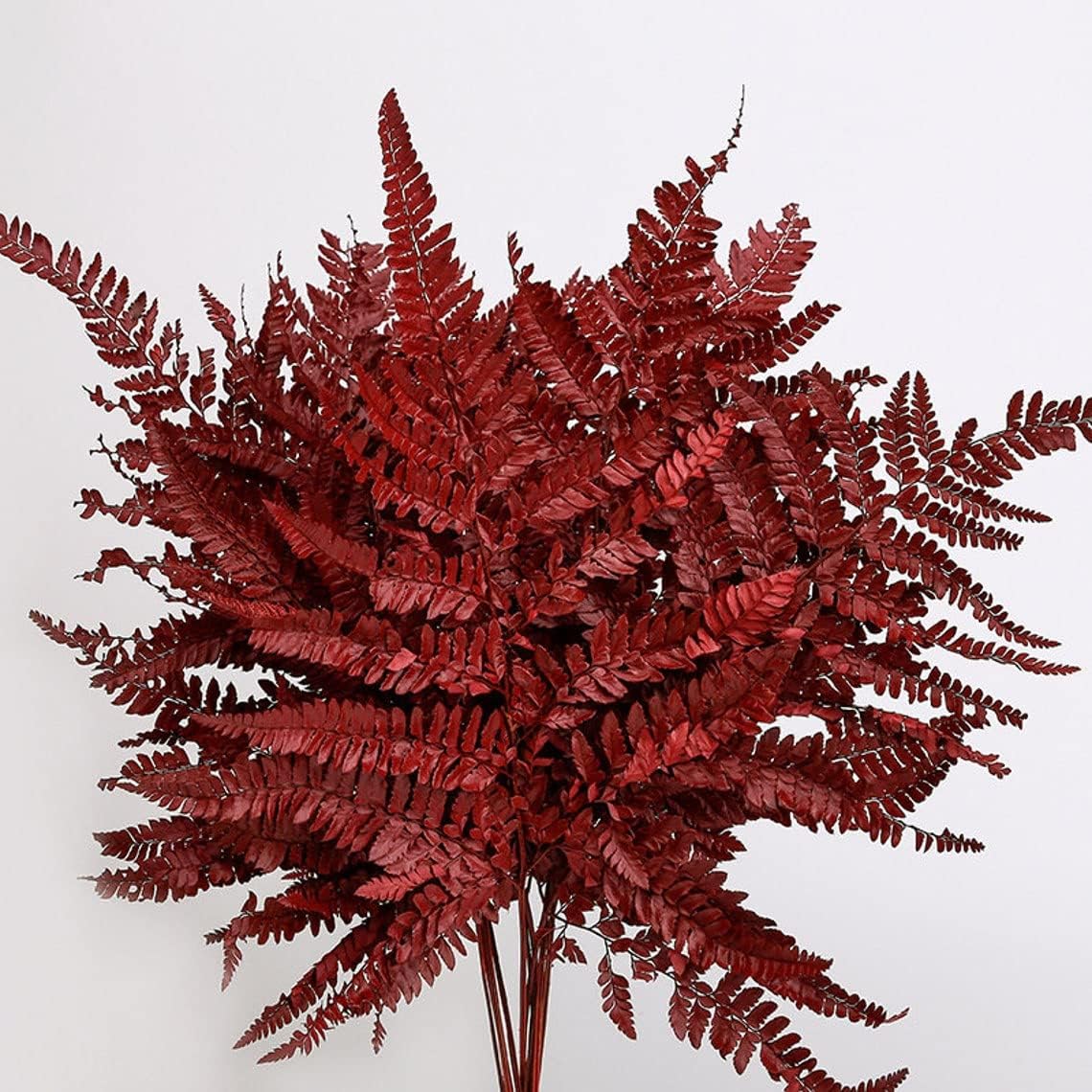 dried_flower - preserved_flower - fake_flower - 10Stems Preserved Real Green Ferns Dried Green Fern Tips Bouquets Flowers - Molly Garden - Molly_Garden_Floral