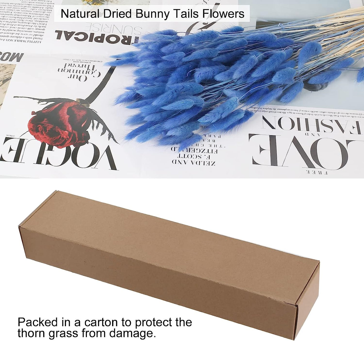 dried_flower - preserved_flower - fake_flower - 120Pcs Dried Bunny Tails Flowers Rabbit Tail Grass Lagurus Ovatus Bouquet - Molly Garden - Molly_Garden_Floral