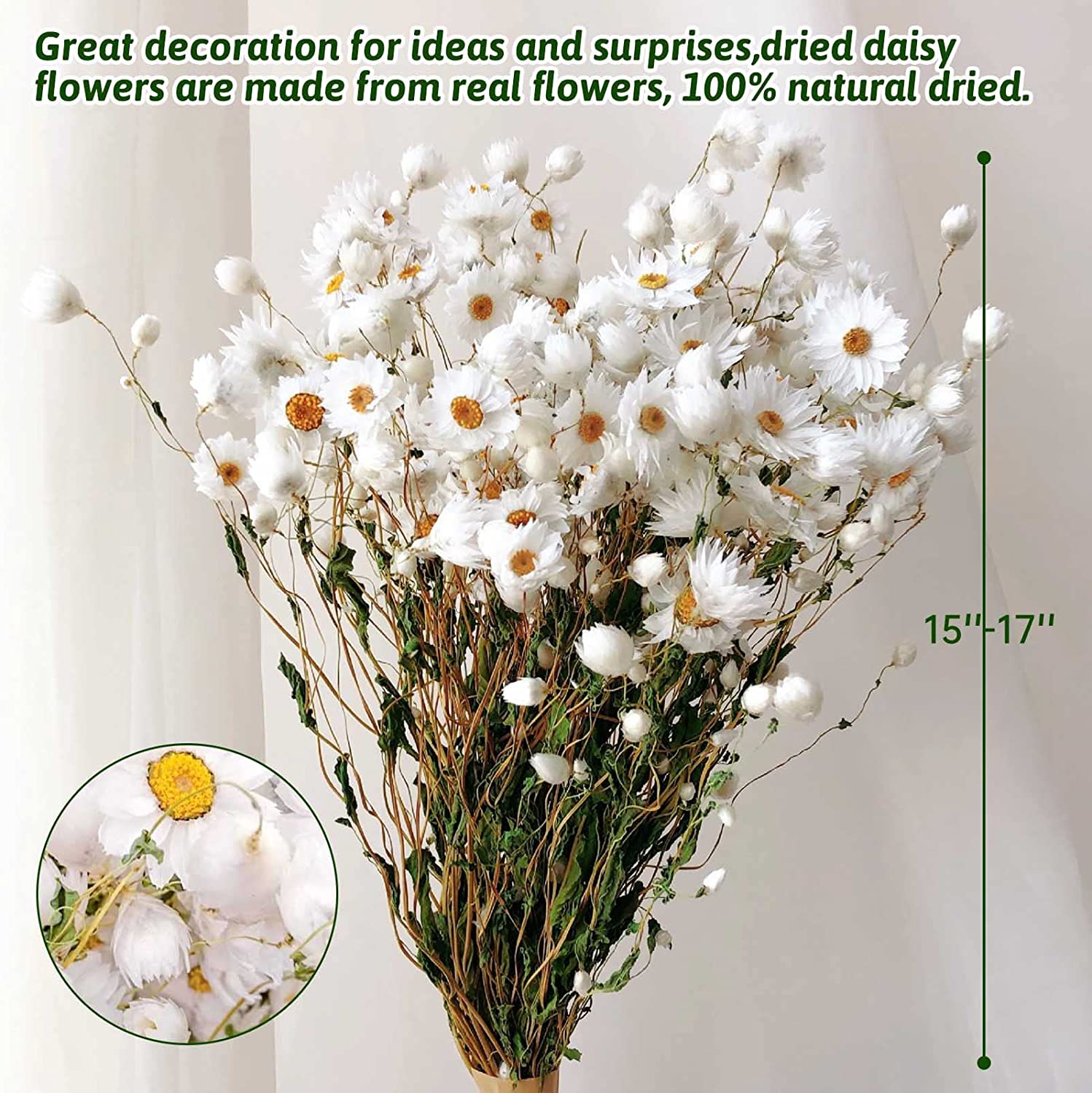 dried_flower - preserved_flower - fake_flower - 200+Stems Real Dry White Flowers with Dried Daisy Bouquet 17'' Gerber Daisies - Molly Garden - Molly_Garden_Floral