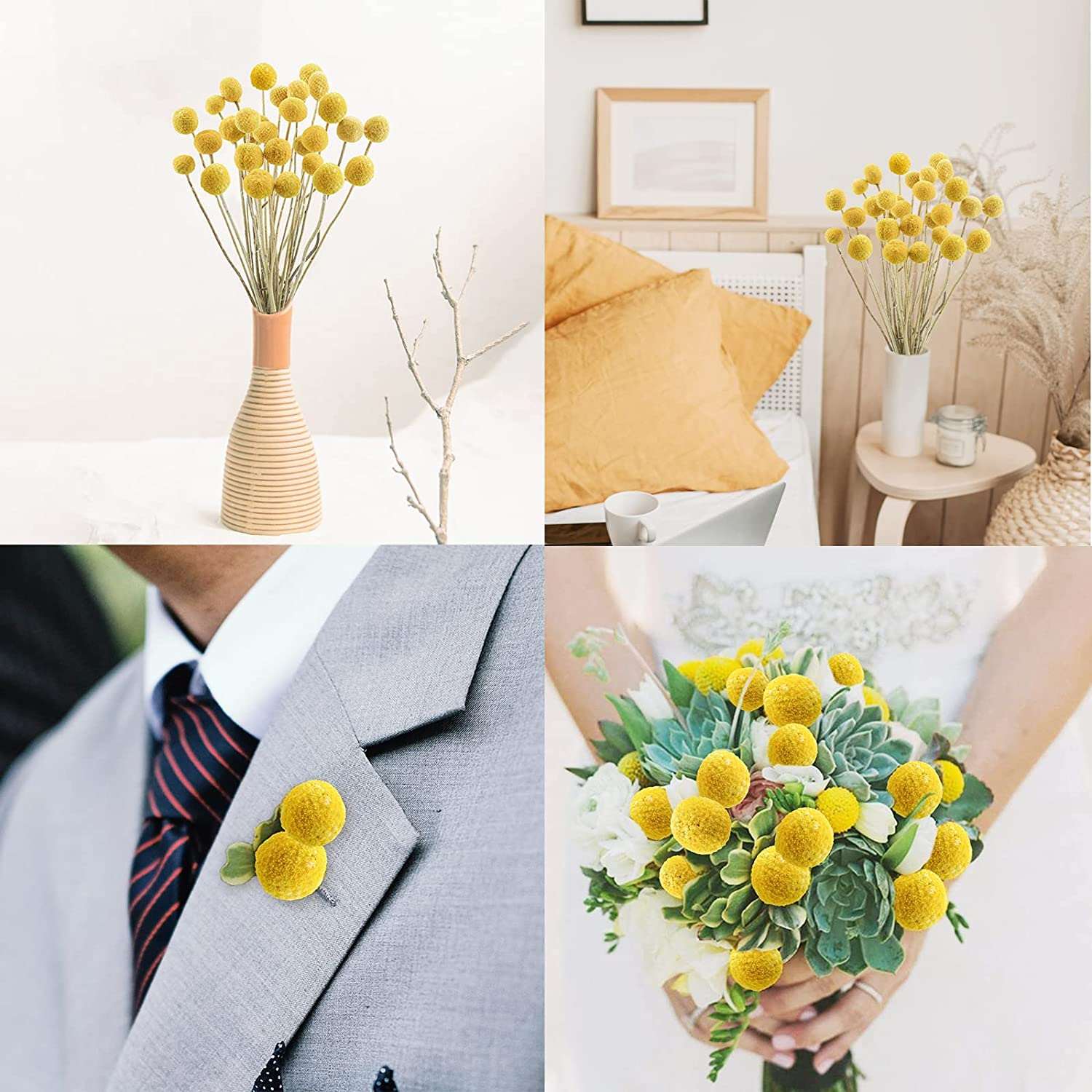 dried_flower - preserved_flower - fake_flower - 30Pcs Yellow Natural Dried Flowers Craspedia Billy Balls Flowers Billy Buttons - Molly Garden - Molly_Garden_Floral