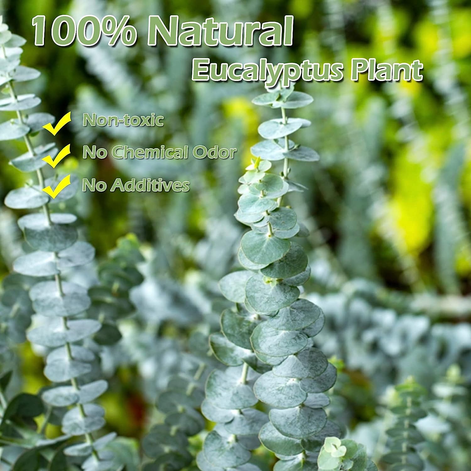 dried_flower - preserved_flower - fake_flower - 16Pcs Dried Eucalyptus Plant Stems 100% Natural Branches Leaves for Shower - Molly Garden - Molly_Garden_Floral