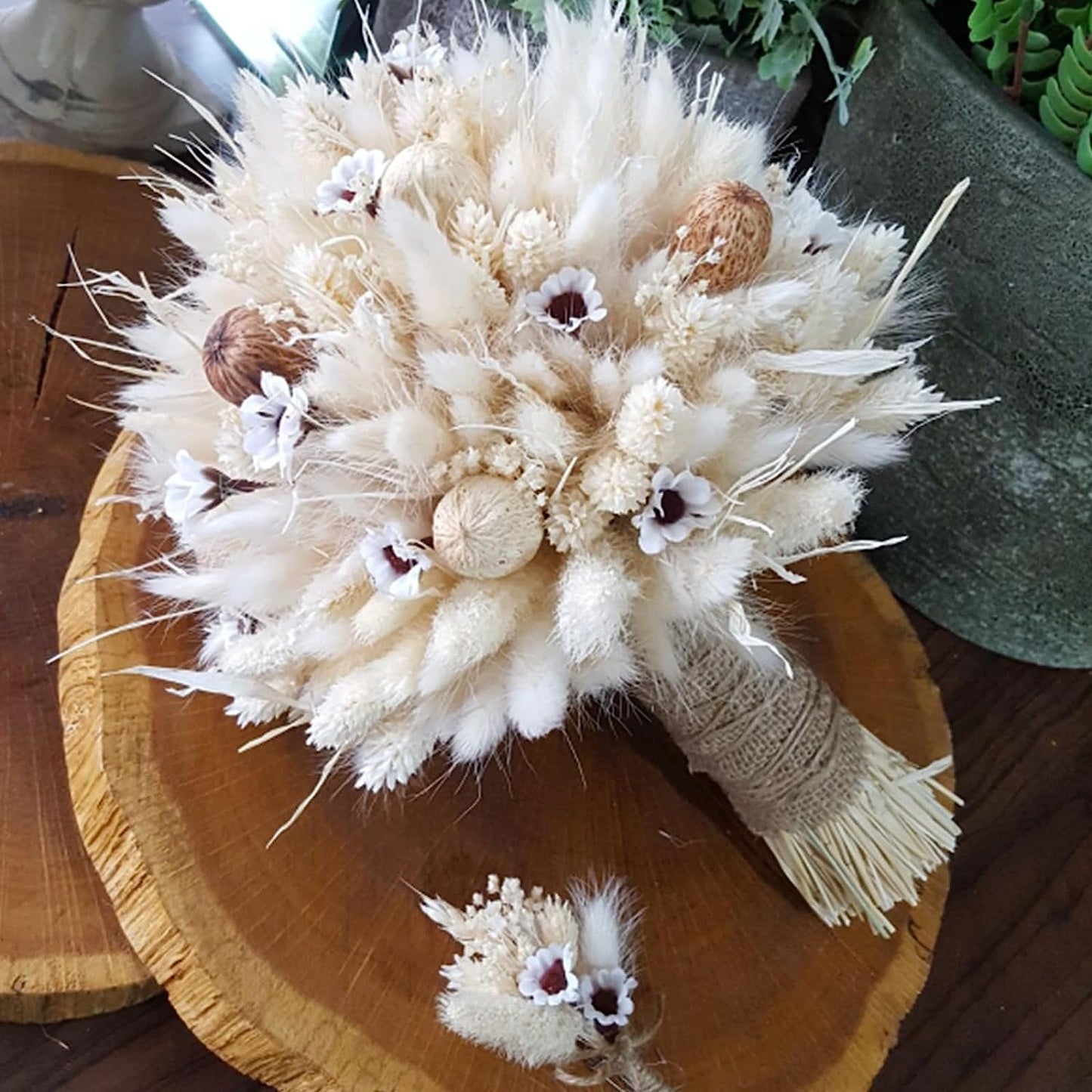 dried_flower - preserved_flower - fake_flower - 200Pcs Bunny Tails Dried Flowers White Natural Eternal Dried Rabbit Tails Grass - Molly Garden - Molly_Garden_Floral