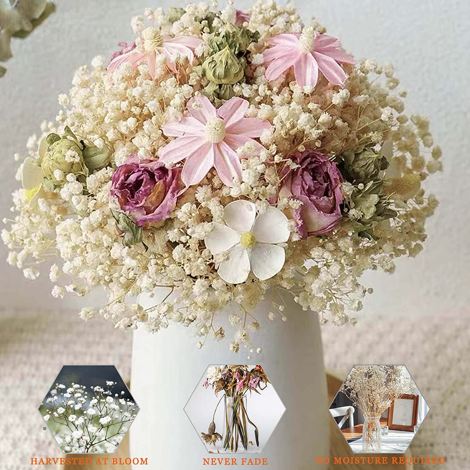 dried_flower - preserved_flower - fake_flower - 5000+Dried Babys Breath Flowers Bouquet Upgraded Natural White Gypsophila Bulk - Molly Garden - Molly_Garden_Floral