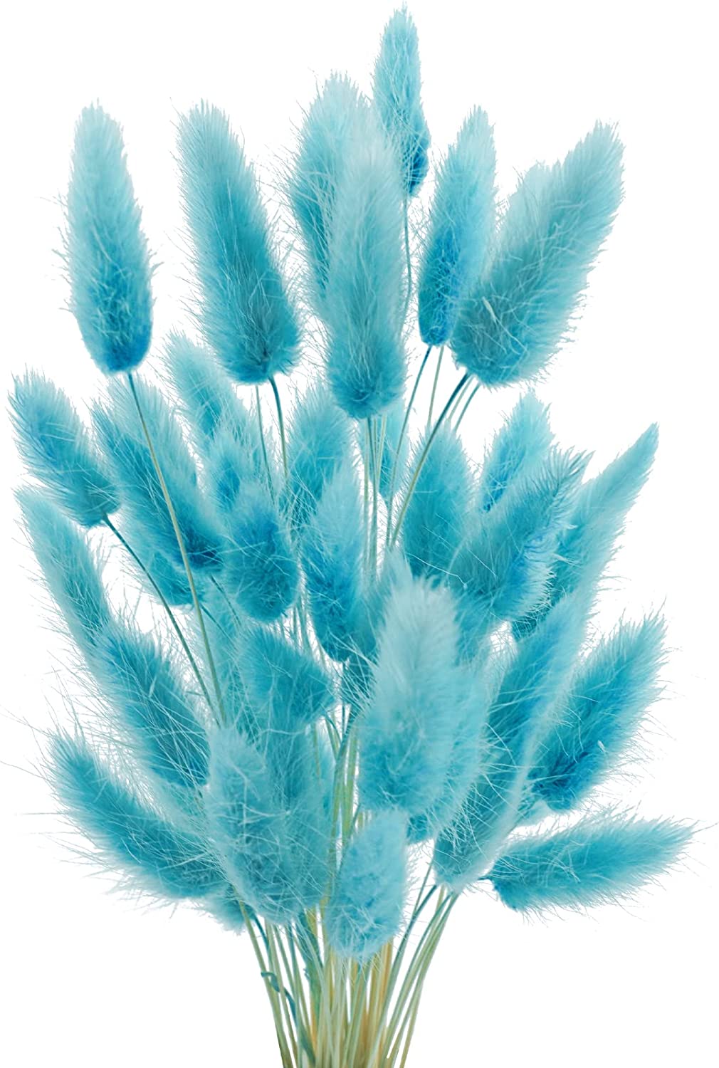 dried_flower - preserved_flower - fake_flower - 50Pcs Dried Lagurus Ovatus 17’’ Natural Bunny Tails Flowers Dried Pampas Grass - Molly Garden - Molly_Garden_Floral