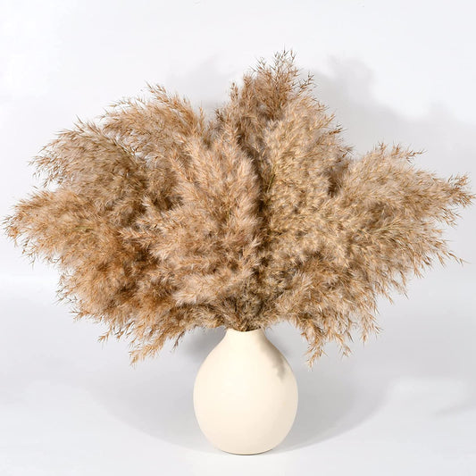 dried_flower - preserved_flower - fake_flower - 35Stems Natural Flowers Dried Fluffy Pampas Grass 17Inch for Home Boho Decor - Molly Garden - Molly_Garden_Floral