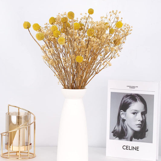 dried_flower - preserved_flower - fake_flower - 25Pcs Babys Breath Boho Flower Billy Balls Natural Dried Flower Bouquet for Boho - Molly Garden - Molly_Garden_Floral