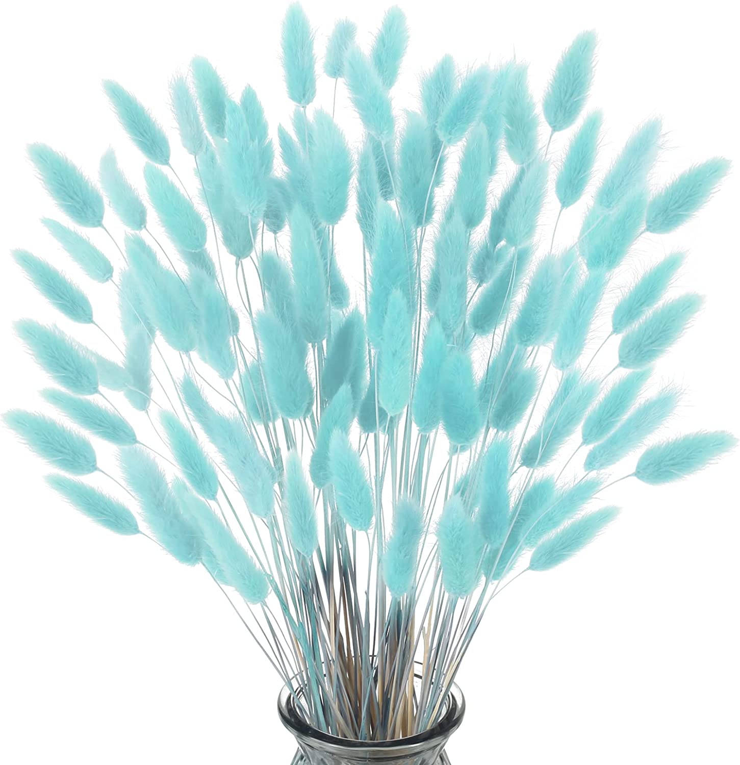 dried_flower - preserved_flower - fake_flower - 120Pcs Dried Bunny Tails Flowers Rabbit Tail Grass Lagurus Ovatus Bouquet - Molly Garden - Molly_Garden_Floral