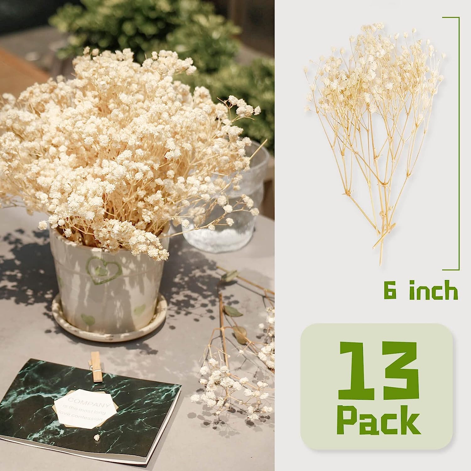 dried_flower - preserved_flower - fake_flower - 65Pcs Mini Dried Babys Breath Flowers 4000+ Pressed Real Natural Gypsophila - Molly Garden - Molly_Garden_Floral