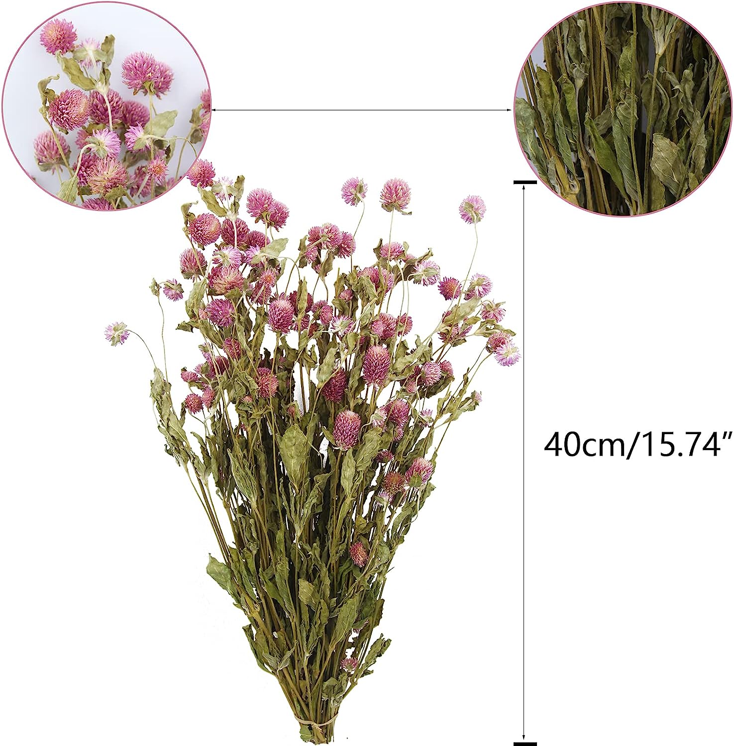 dried_flower - preserved_flower - fake_flower - Dried Flower Pink Globe Amaranth Bundles Natural Dry Plant Bouquet for Boho - Molly Garden - Molly_Garden_Floral
