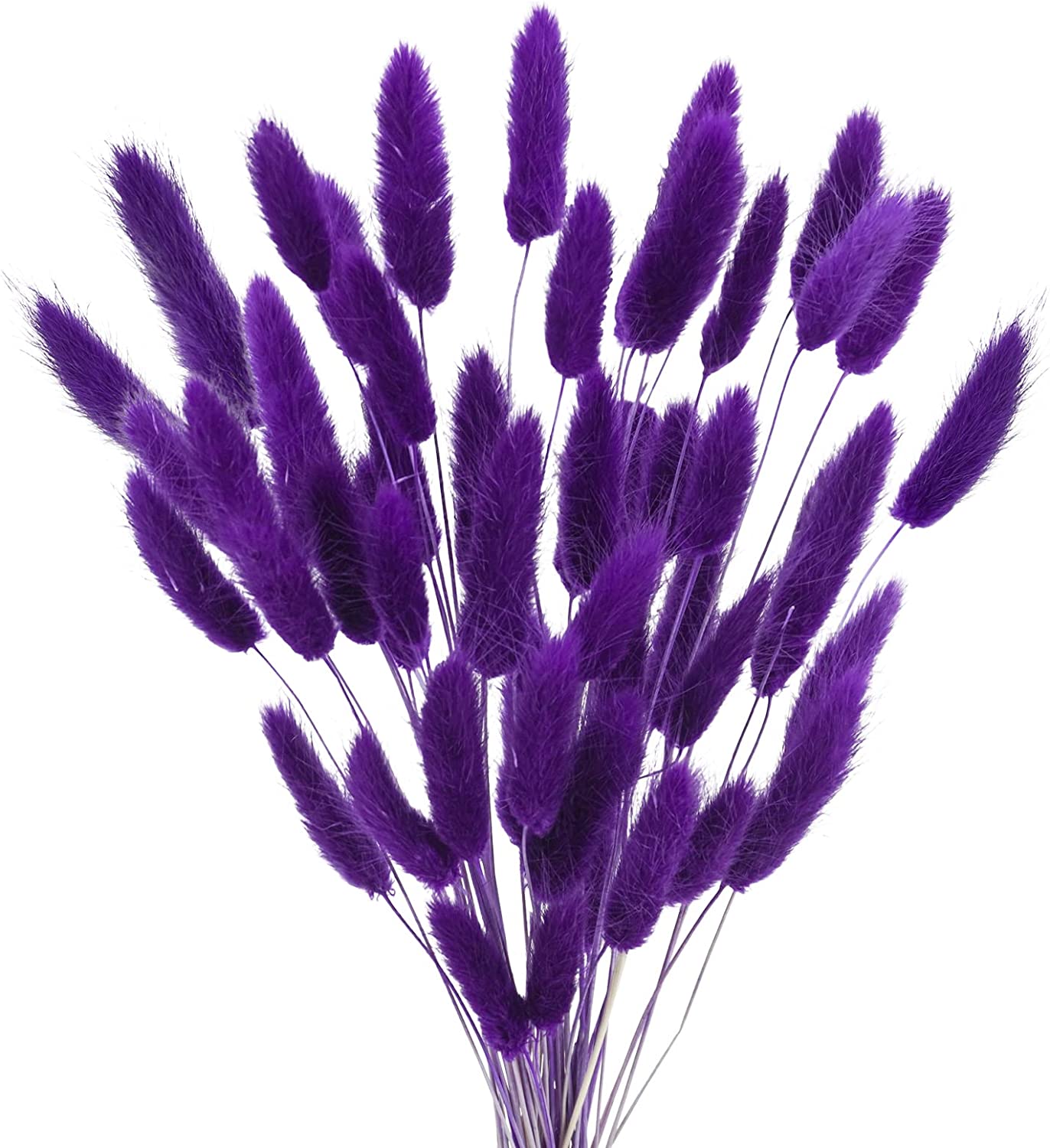 dried_flower - preserved_flower - fake_flower - 50Pcs Dried Lagurus Ovatus 17’’ Natural Bunny Tails Flowers Dried Pampas Grass - Molly Garden - Molly_Garden_Floral