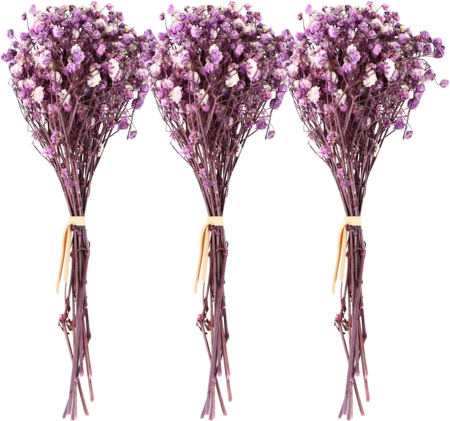 dried_flower - preserved_flower - fake_flower - 3Bunches Dried Babys Breath Flower Bouquets Natural Gypsophila Branches - Molly Garden - Molly_Garden_Floral