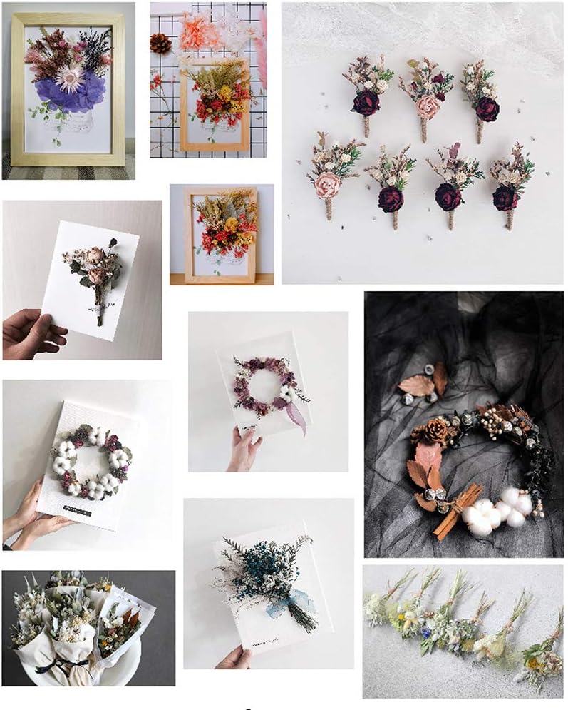 dried_flower - preserved_flower - fake_flower - 4Box Premium Dried Pressed Leaves and Flowers Dry Plants for Handmade - Molly Garden - Molly_Garden_Floral