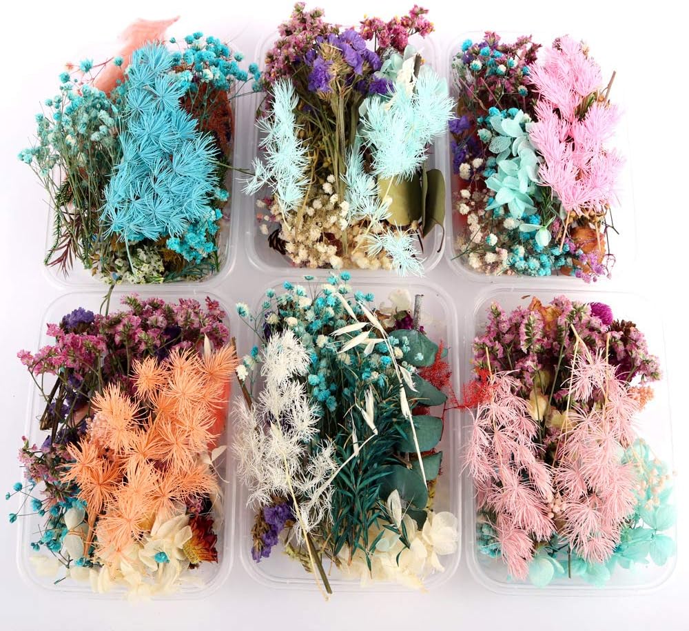 dried_flower - preserved_flower - fake_flower - 4Box Premium Dried Pressed Leaves and Flowers Dry Plants for Handmade - Molly Garden - Molly_Garden_Floral