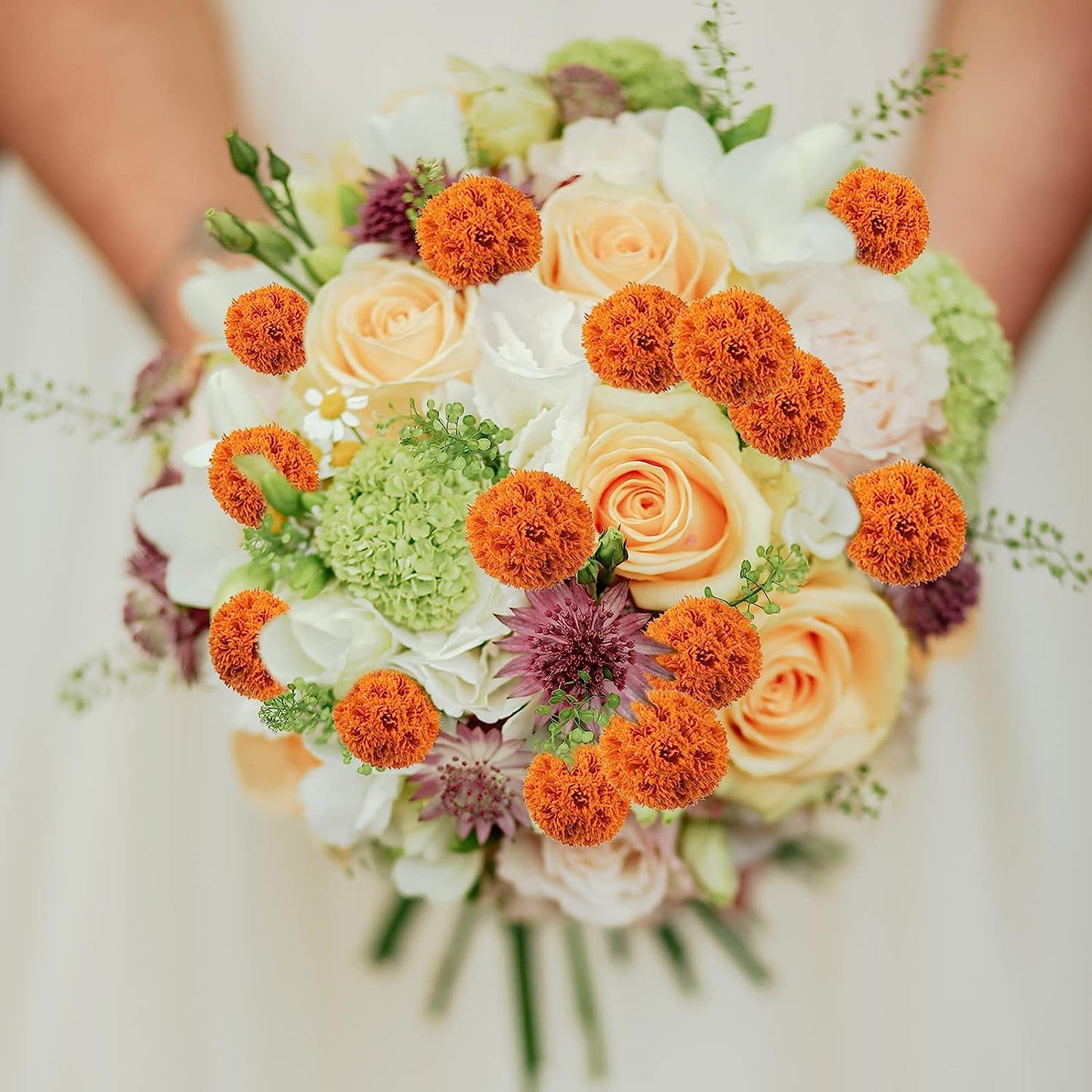 dried_flower - preserved_flower - fake_flower - 36pcs Dried Flowers Bouquet Natural Decor Craspedia Billy Balls Bulk 17.5’’ - Molly Garden - Molly_Garden_Floral