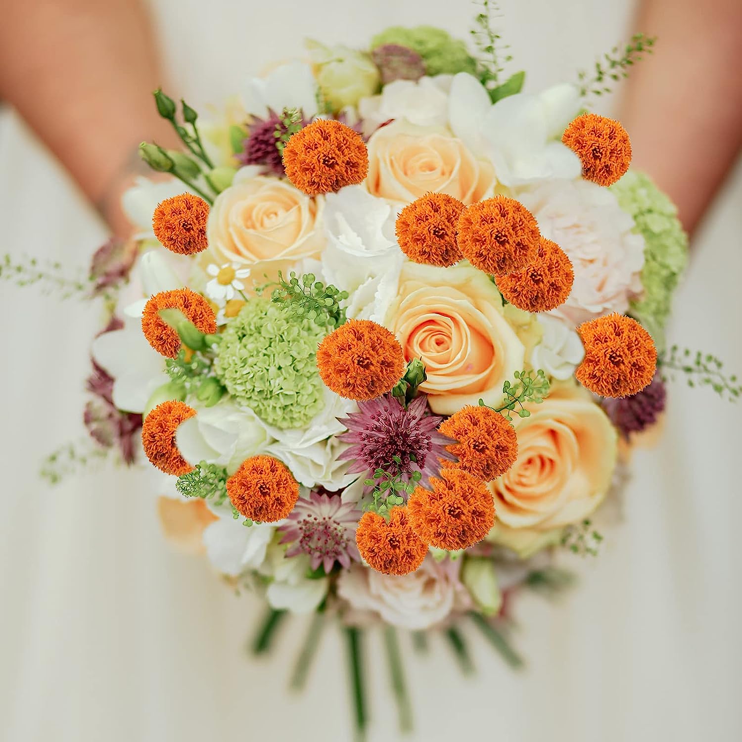 dried_flower - preserved_flower - fake_flower - 36pcs Dried Flowers Bouquet Natural Decor Craspedia Billy Balls Bulk 17.5’’ - Molly Garden - Molly_Garden_Floral