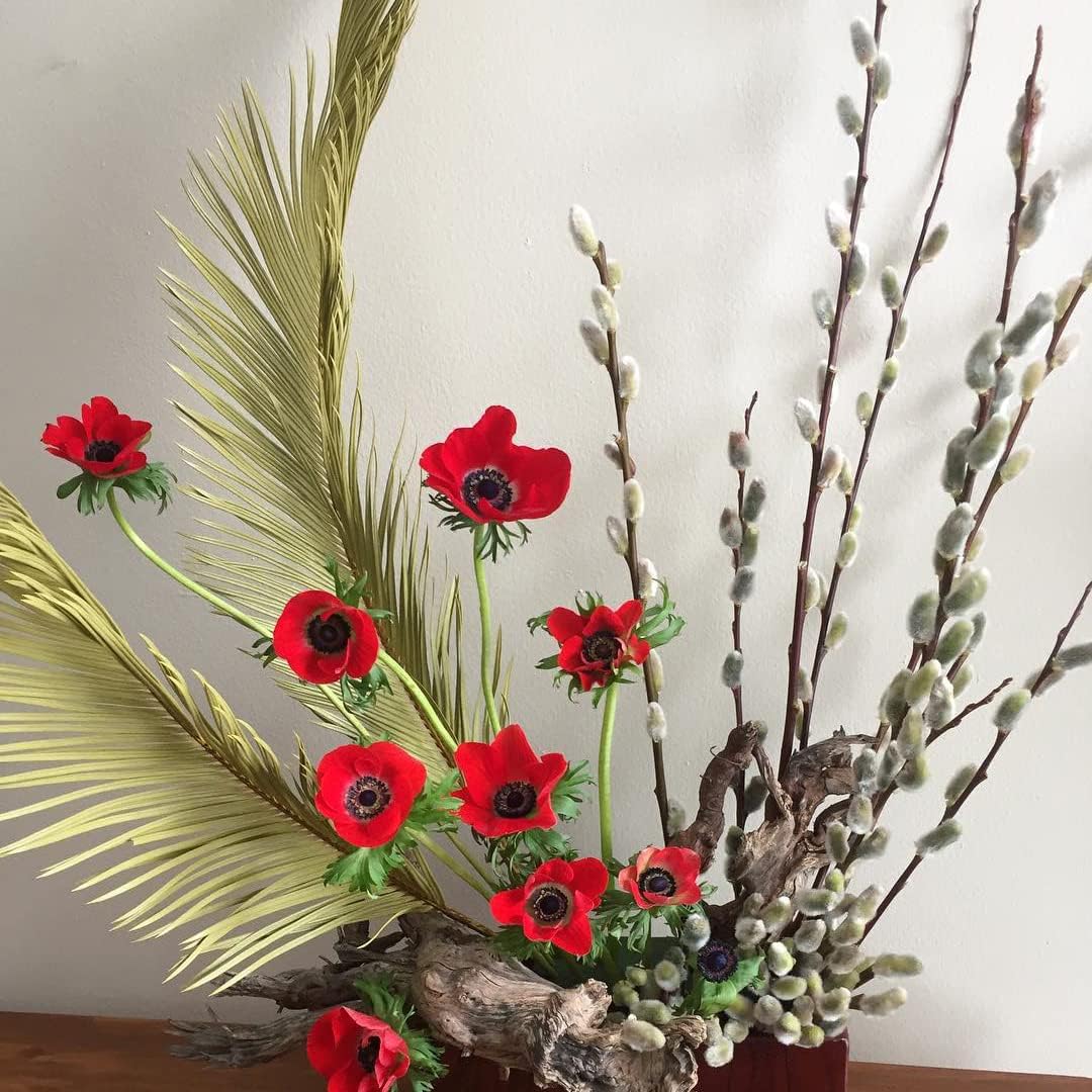 dried_flower - preserved_flower - fake_flower - 6Pcs 33in Boho Dry Sago Palm Leaf, Cycas Revoluta Stem Large Dried Leaves - Molly Garden - Molly_Garden_Floral
