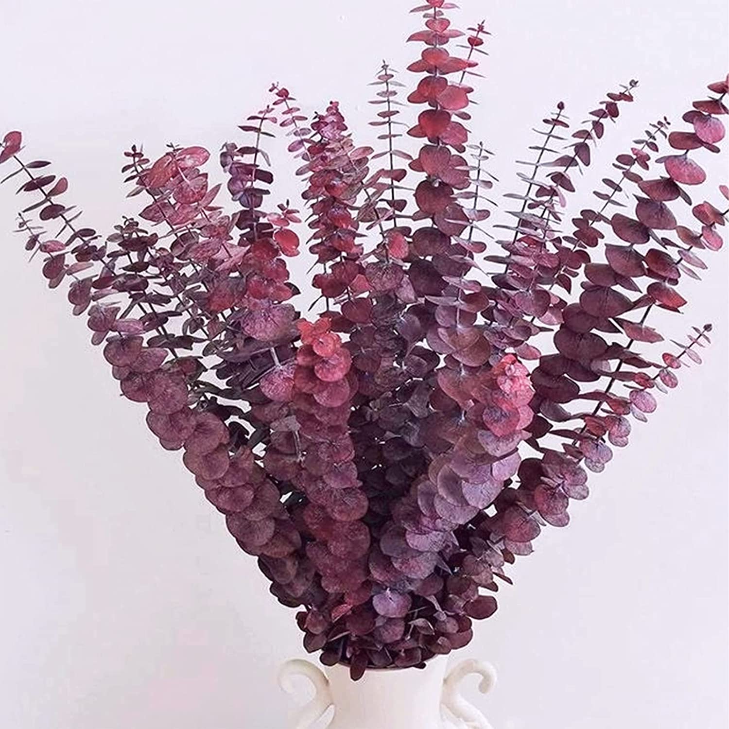dried_flower - preserved_flower - fake_flower - 16Pcs Preserved Dried Eucalyptus Branches for Vase Filler Floral Home Decor - Molly Garden - Molly_Garden_Floral