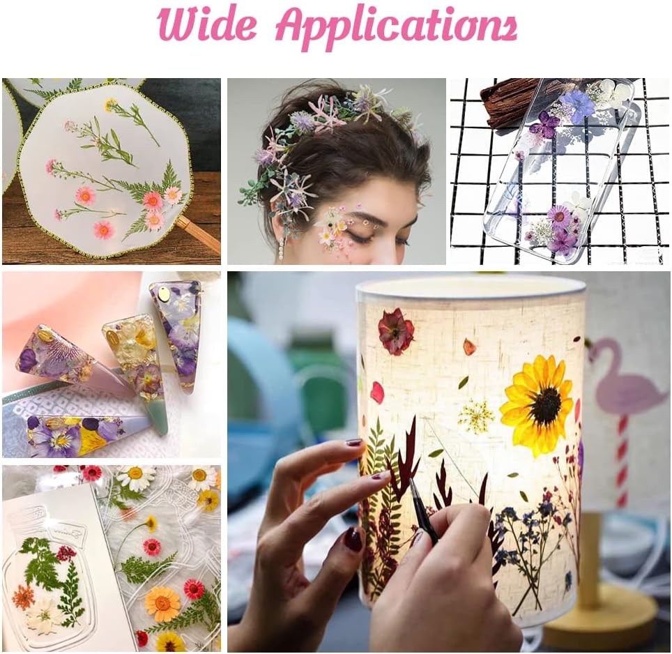 dried_flower - preserved_flower - fake_flower - 35+Pcs Flowers for Resin Model Real Pressed Dry Leaves Bulk Natural Herbs Kit - Molly Garden - Molly_Garden_Floral