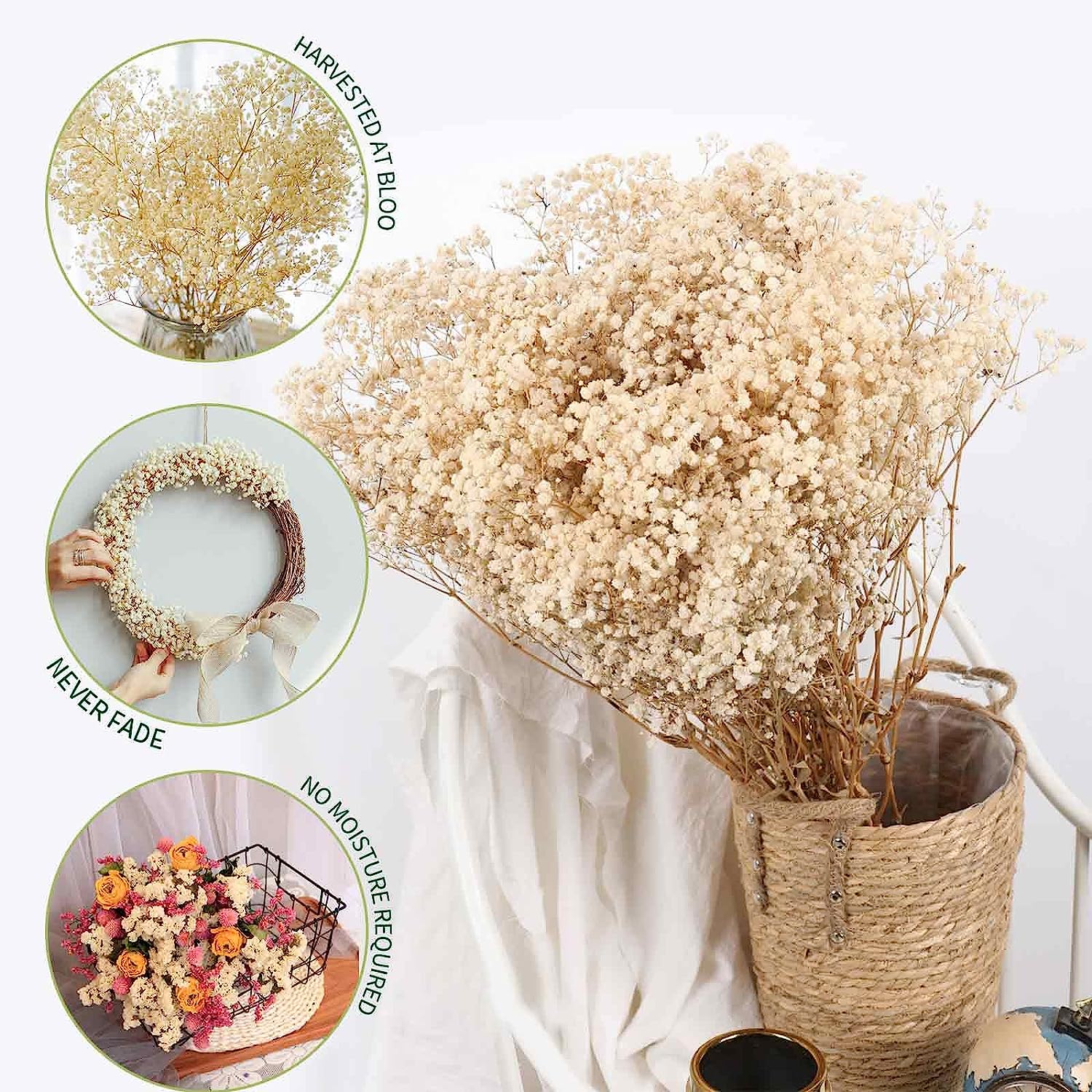 dried_flower - preserved_flower - fake_flower - 2500+Head Dried Babys Breath Flowers Bouquet 17'' Natural Gypsophila Branches - Molly Garden - Molly_Garden_Floral